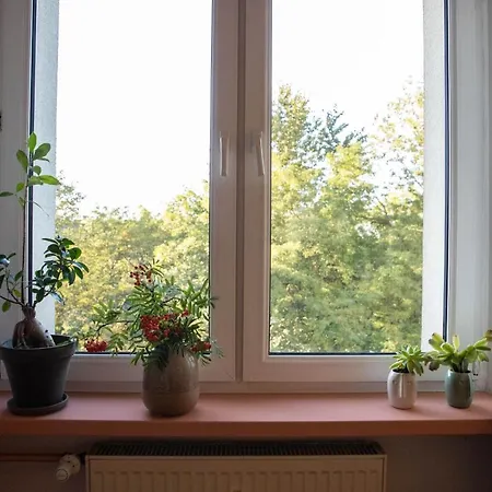 Sloneczny Apartament W Centrum Appartement Katowice