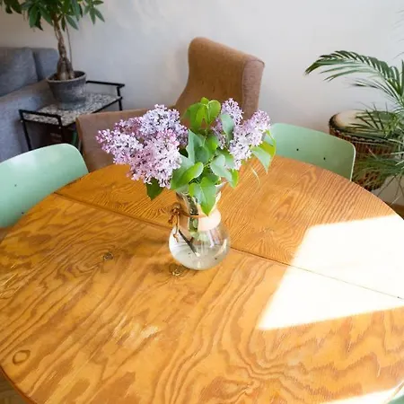 Sloneczny Apartament W Centrum アパート カトヴィツェ